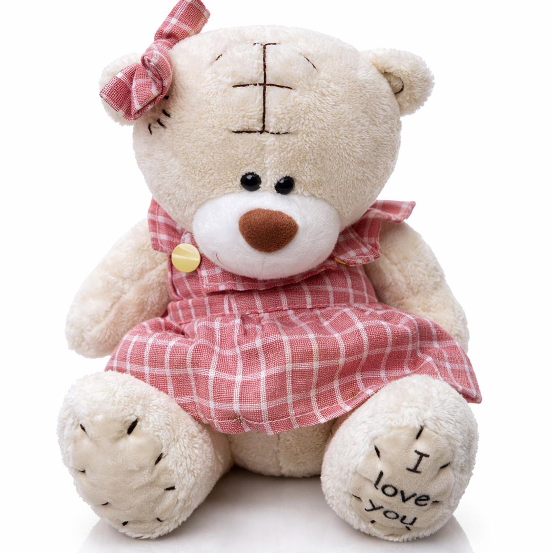 Ositos de Peluche Premium – 20 cm 8