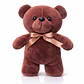 Peluche Oso Tierno 29 cm – Suave, Decorativo y Perfecto para Regalo - Miniatura 3