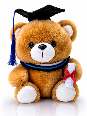 Oso de Peluche Graduación 23 cm con Diploma – Peluche Premium Suave | Regalo Especial