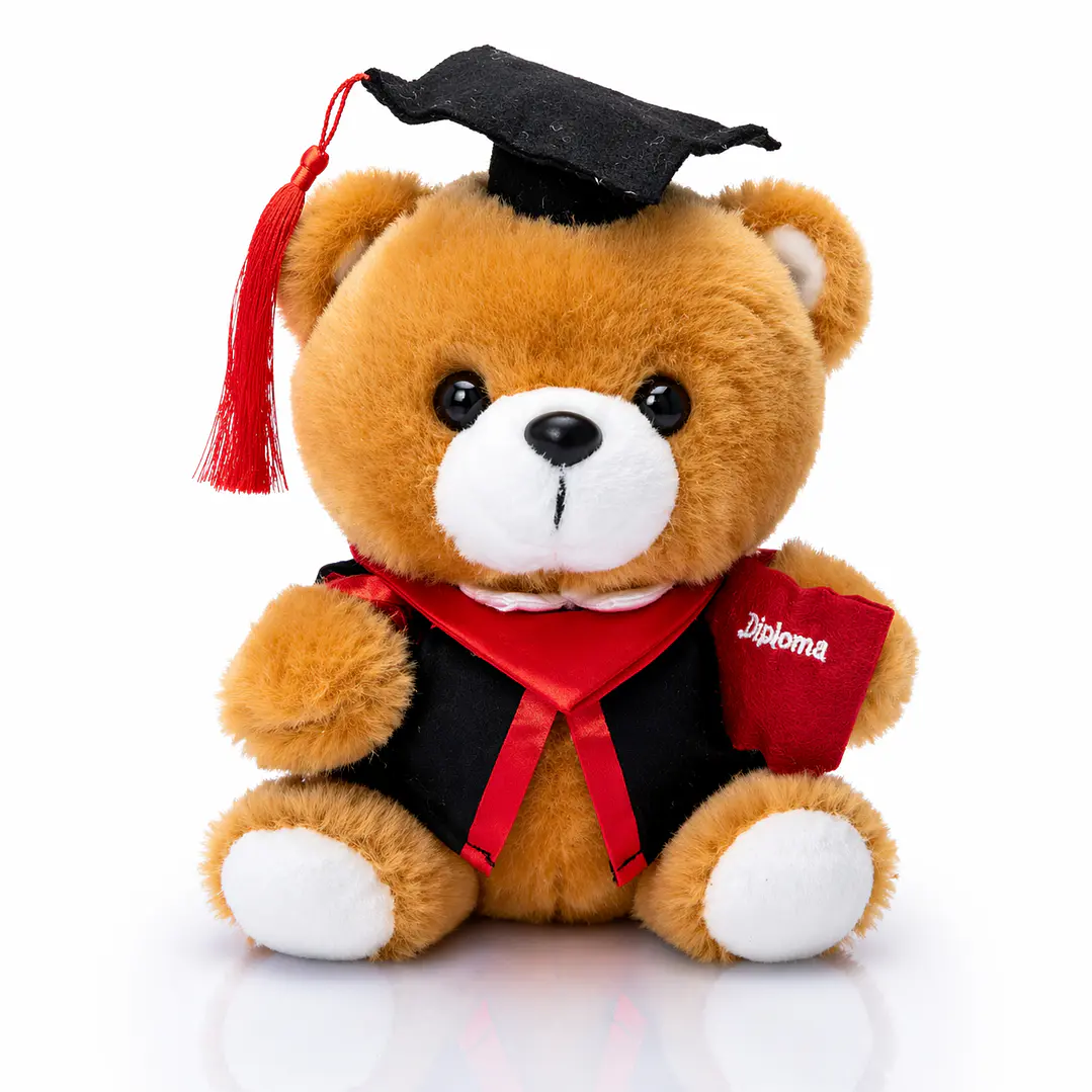 Oso de Peluche Graduación 23 cm con Diploma – Peluche Premium Suave | Regalo Especial 2
