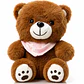 Osito de Peluche 22 cm con Pañuelo Rosa | Peluche Suave y Tierno para Regalo - Miniatura 2