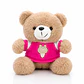 Oso de Peluche con Polo Rosa 22 cm | Suave, Tierno y Perfecto para Regalar - Miniatura 1