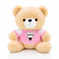 Oso de Peluche con Polo Rosa 22 cm | Suave, Tierno y Perfecto para Regalar - Miniatura 2