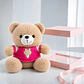 Oso de Peluche con Polo Rosa 22 cm | Suave, Tierno y Perfecto para Regalar - Miniatura 3