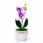 Orquídea Artificial Decorativa en Maceta – Colores Surtidos - Miniatura 2
