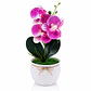 Orquídea Artificial Decorativa en Maceta – Colores Surtidos - Miniatura 4