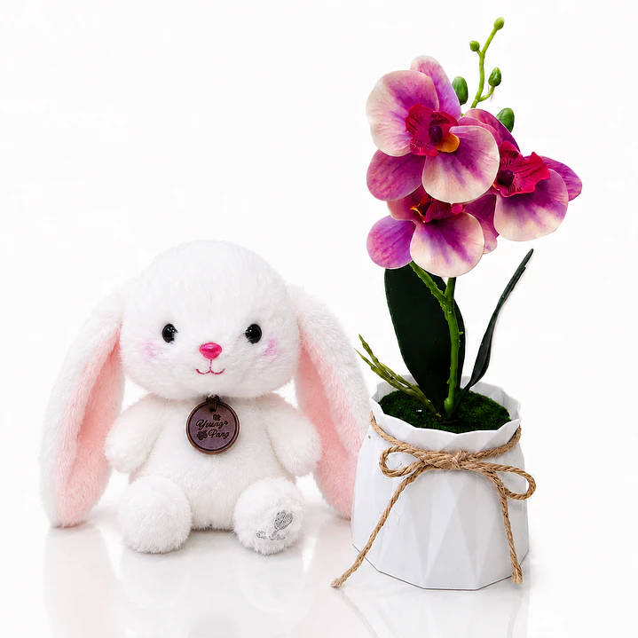 Dúo de Regalo: Peluche de 15 cm + Orquídea Artificial 2