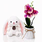 Dúo de Regalo: Peluche de 15 cm + Orquídea Artificial - Miniatura 2