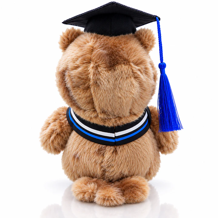 Peluche Búho de Graduación 22 cm – Regalo para Graduados 2