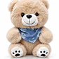 Osito de Peluche 22 cm con Pañuelo Celeste | Peluche Suave y Tierno para Regalo - Miniatura 2