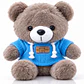 Osito de Peluche con Chompa y Capucha | Regalo Tierno - 22 cm  - Miniatura 1