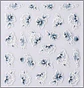 Sticker 3D Flores - Miniatura 1