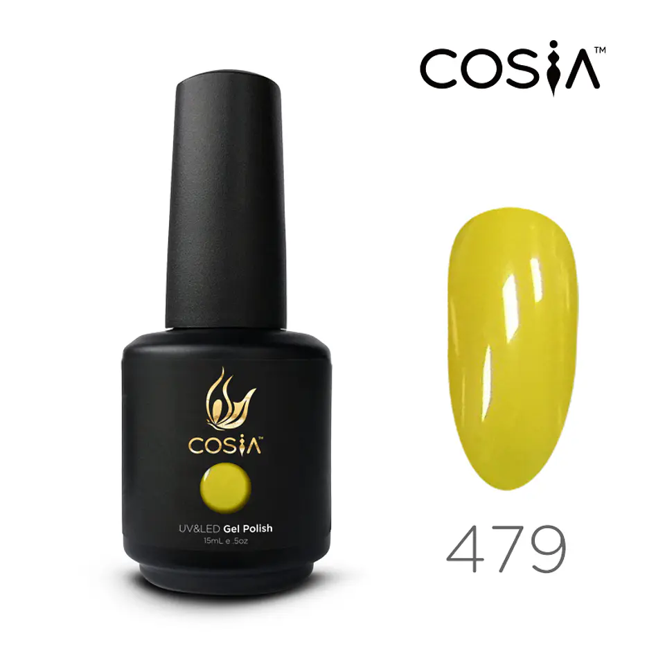 479 G CSOSIA 1