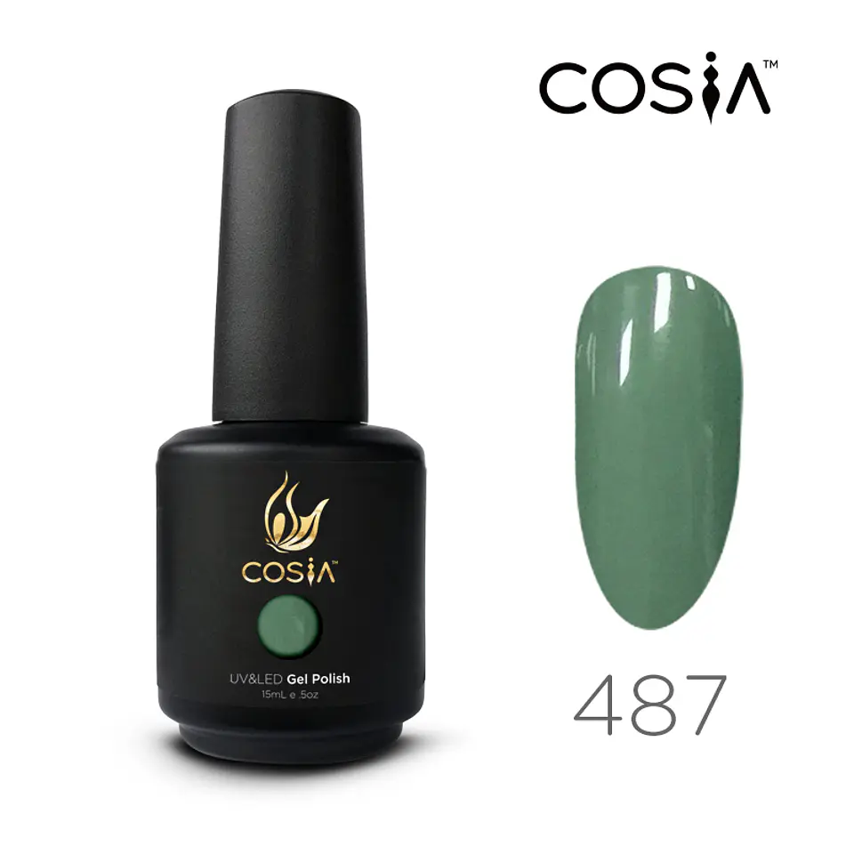 487G COSIA 1