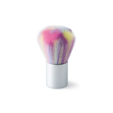 BROCHA SACA POLVO COLORES