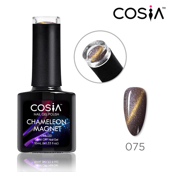 075 CHAMALEON MAGNET COSIA 1