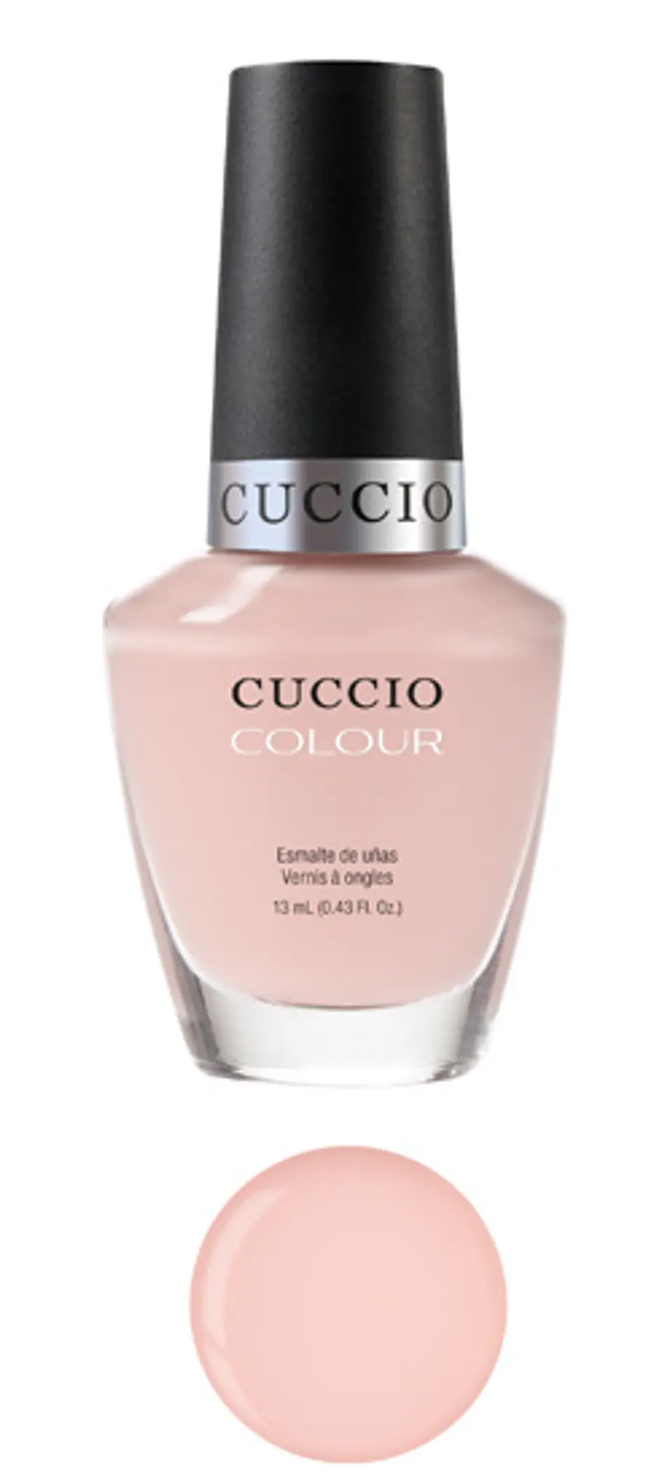 6006 Cuccio 1