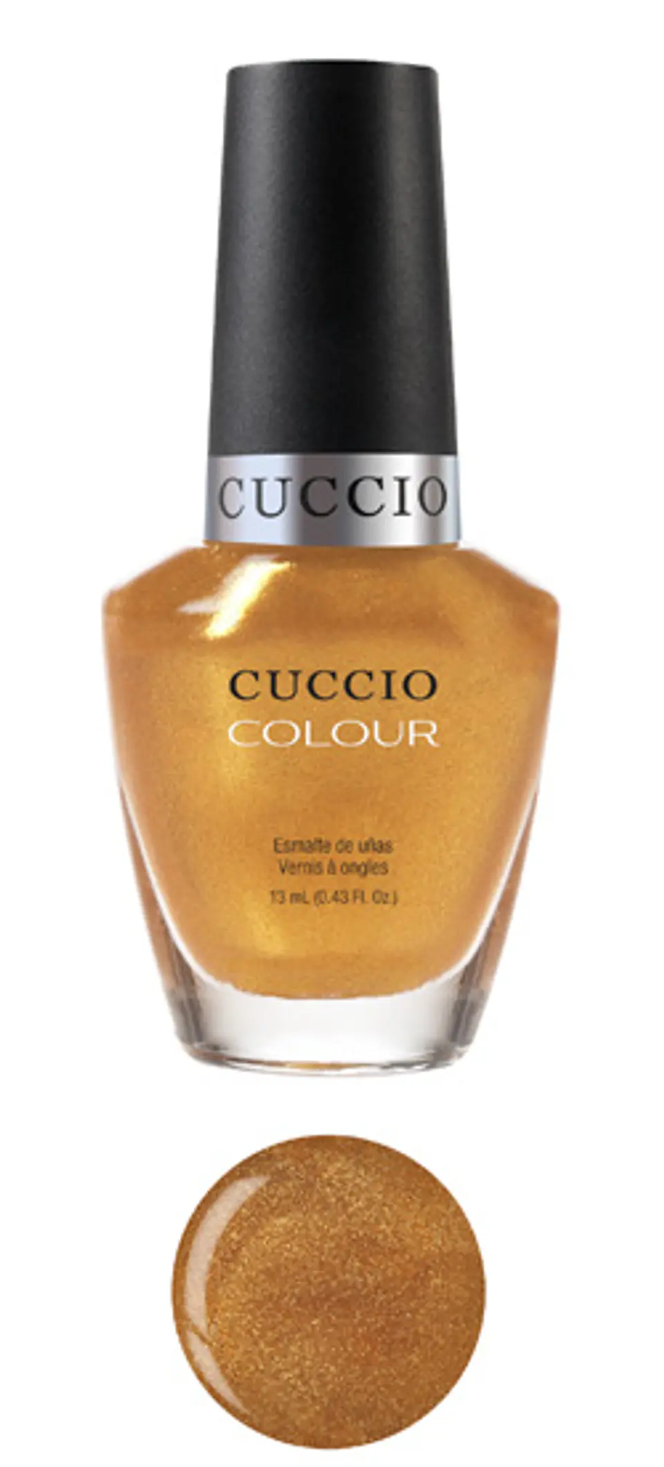 6031 Cuccio 1