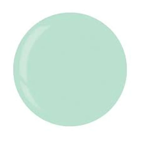 1285- 3943 DIP Mint Sorbet