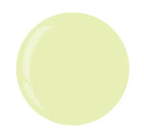 1286- 3953 DIP Pistachio Sorbet 