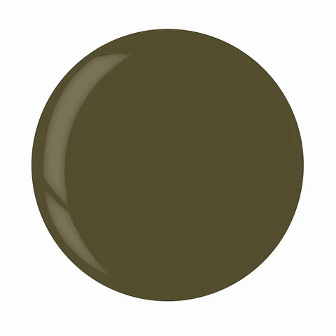1262/3373 DIP