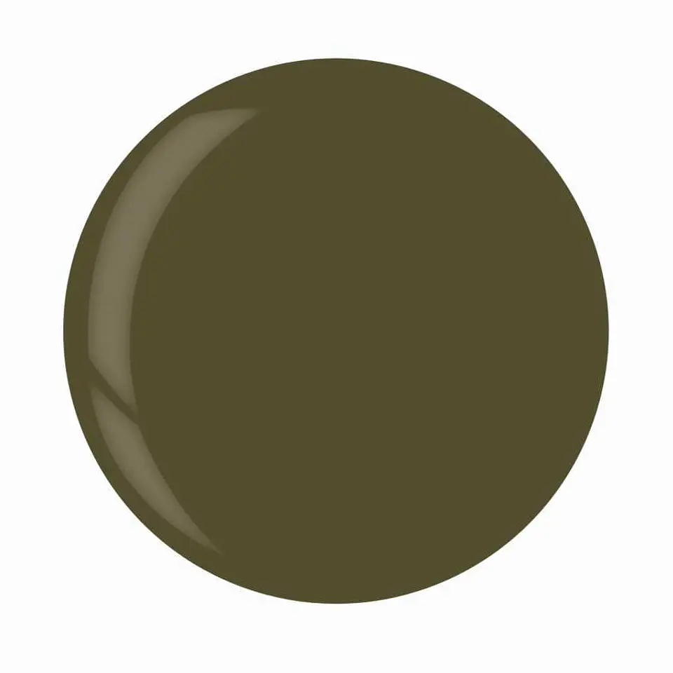 1262/3373 DIP 1