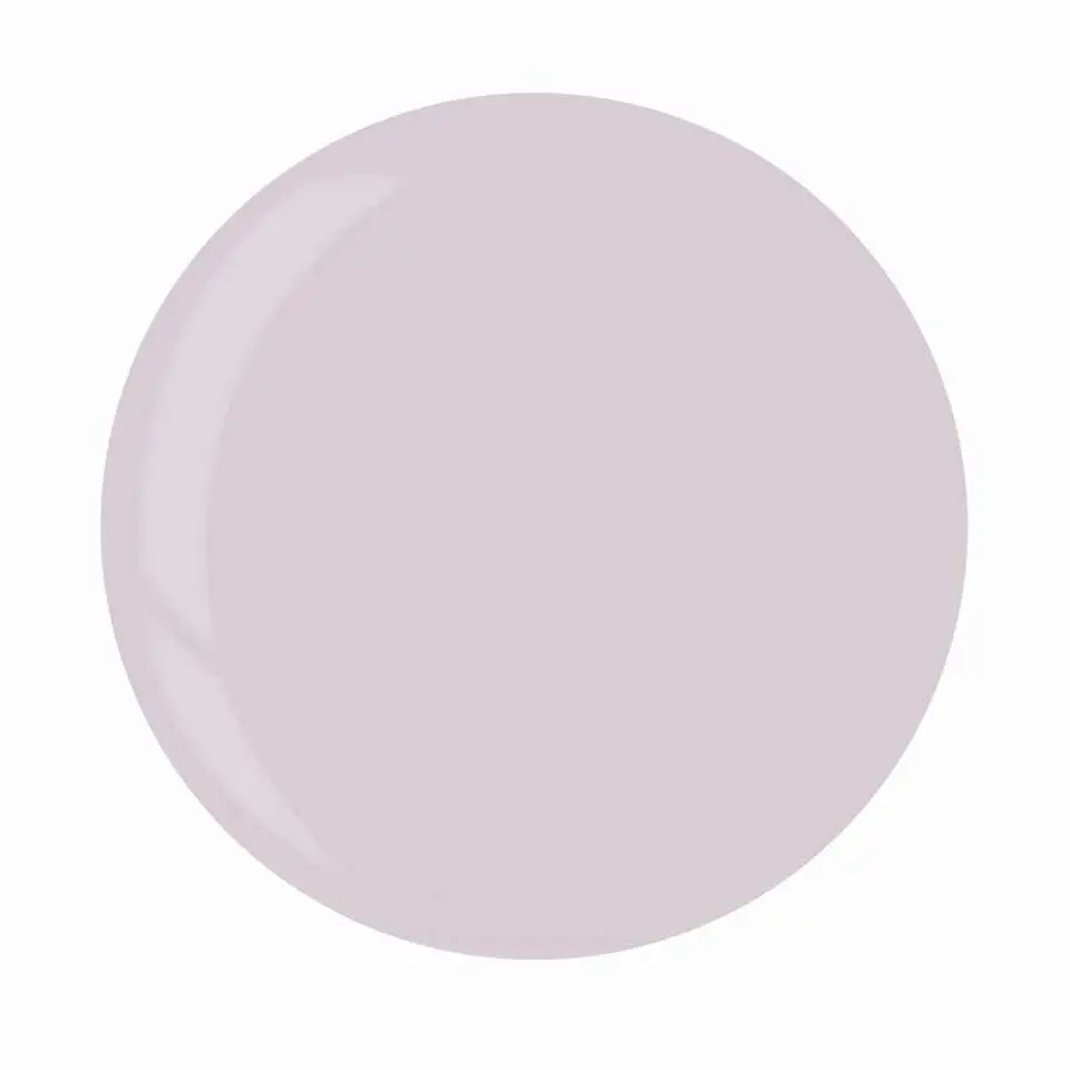 1244 DIP 1