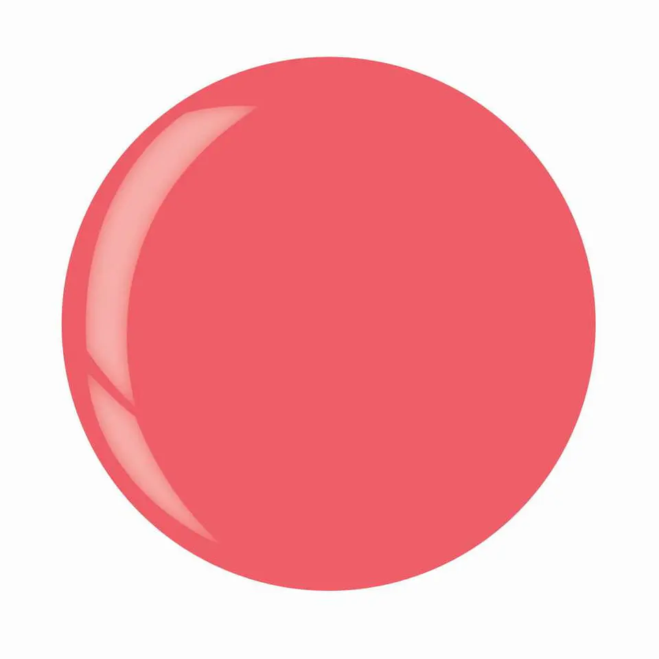 1317 DIP 1