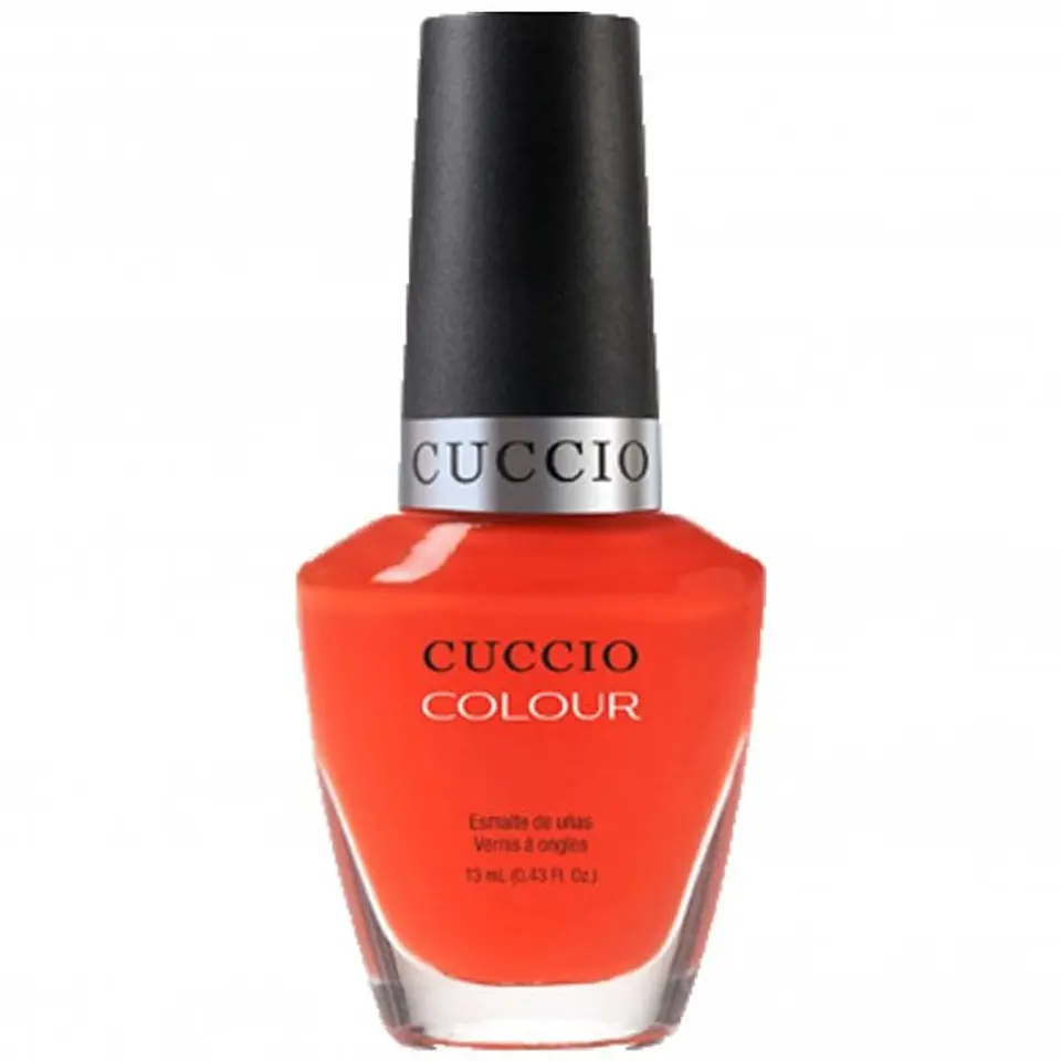 6019 Cuccio 1