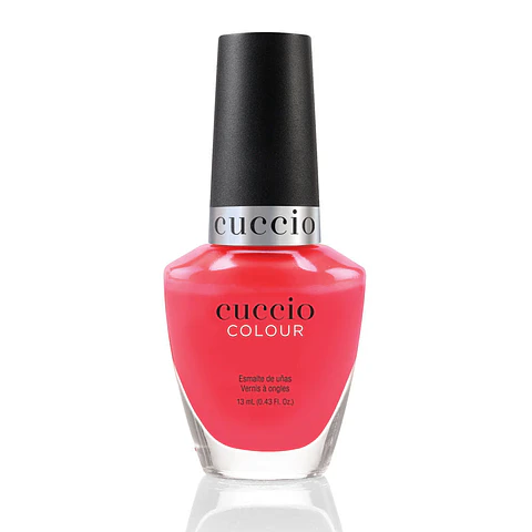 1316 Cuccio