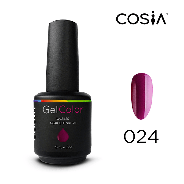 024 COSIA 1