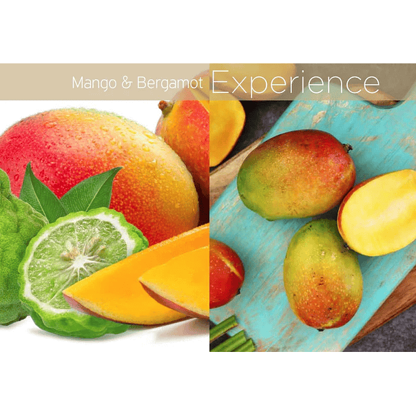 ACEITE DE CUTÍCULA MANGO & BERGAMOTA 15 ml 2