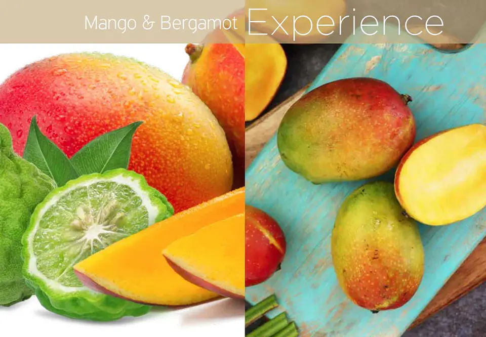 Lyte Butter Mango & Bergamot 237 ml 2