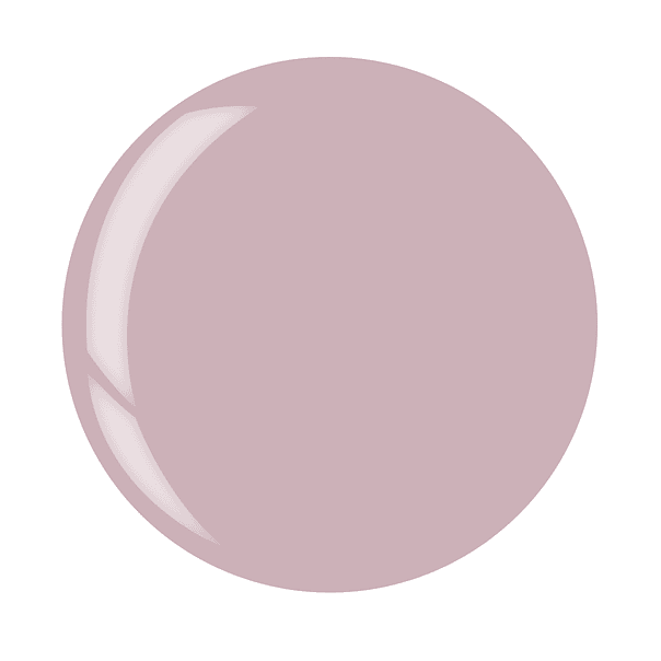 Gleaming Rose Brush On Builder Gel 2