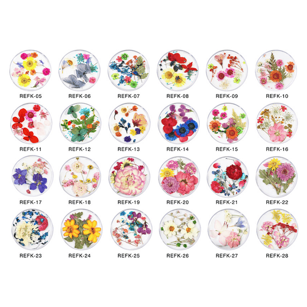 Naturaleza Muerta  1