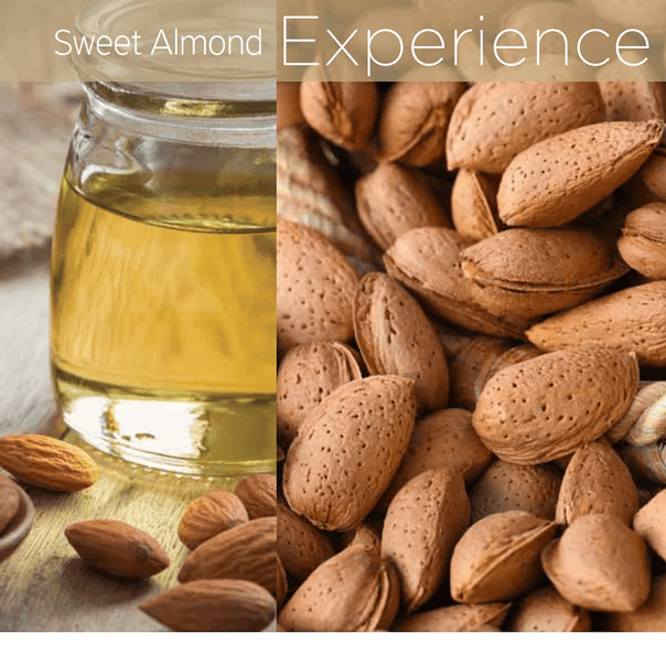 LYTE BUTTER SWEET ALMOND 8 OZ 2