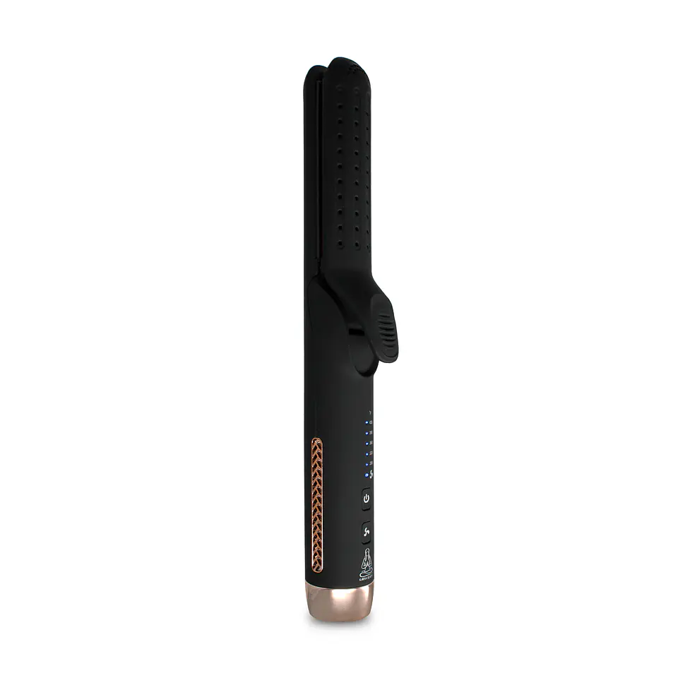 NEW:Beauty and The Breeze Flat Iron 2
