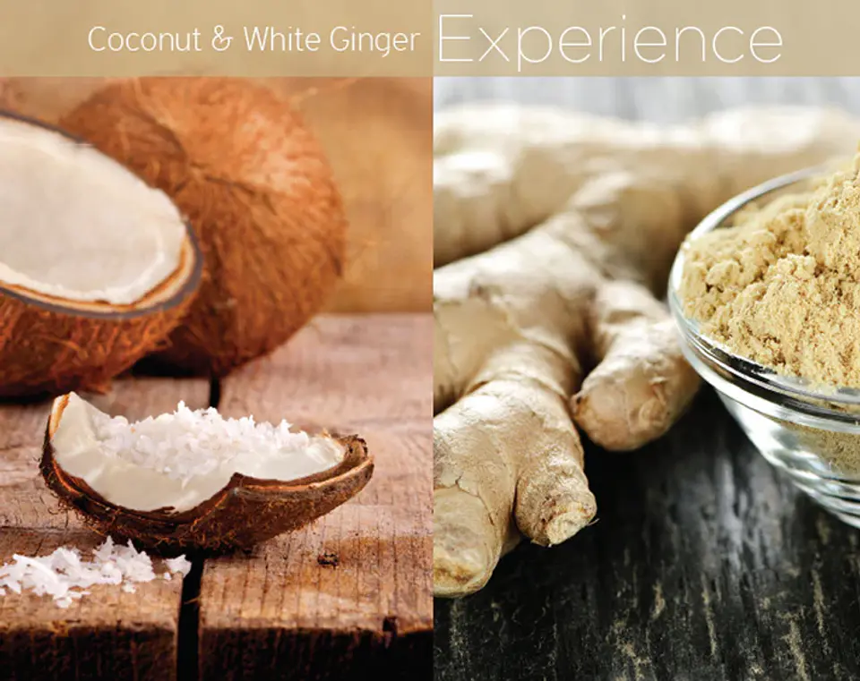 Butter Coconut & White Ginger  2