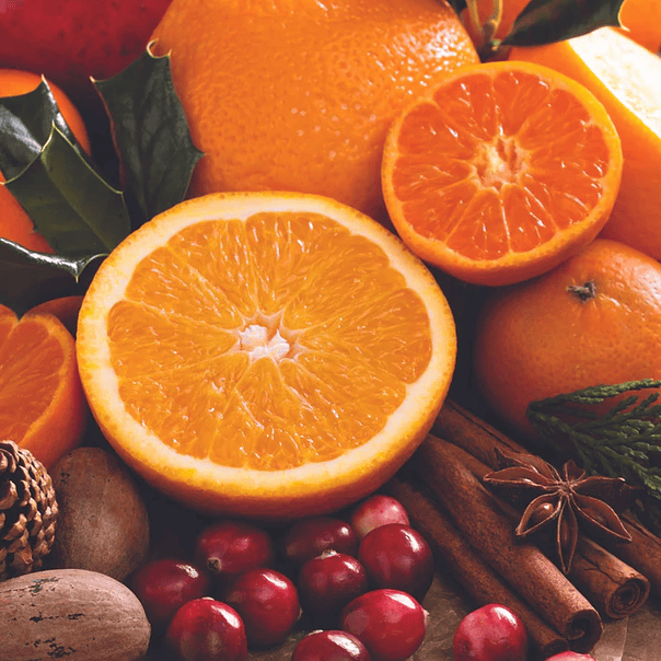 Dry Body Oil  Citrus & Wild Berry 458 ml 2