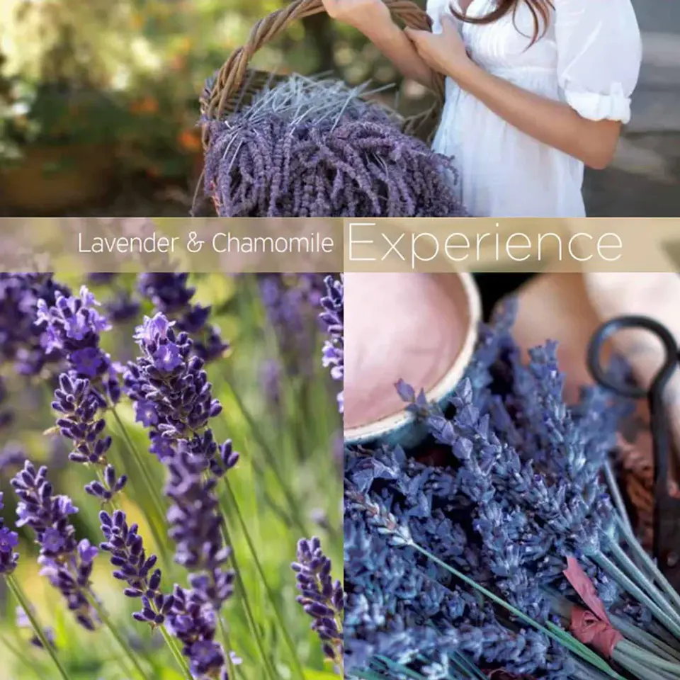 Dry Body Oil Lavender & Chamomille 458 ml 2