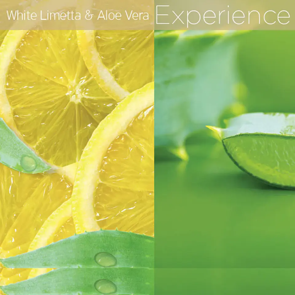 Dry Body Oil White Limetta & Aloe Vera 458 ml 2