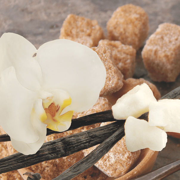 Dry Body Oil Vanilla Bean & Sugar 458 ml 2