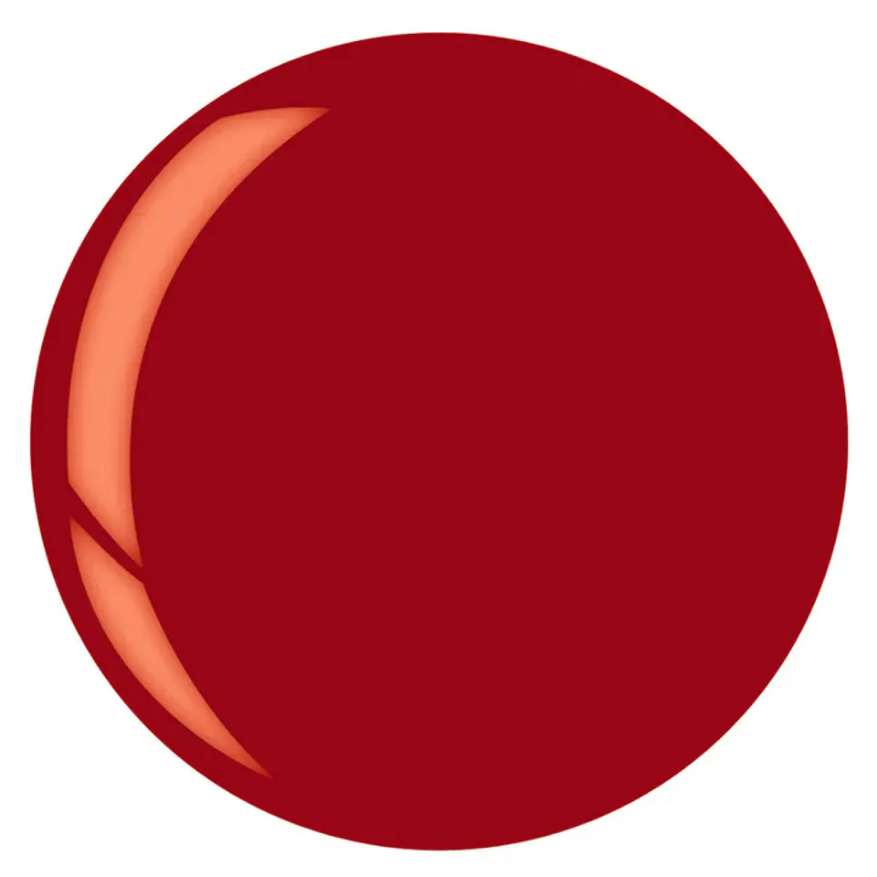 1377 Cuccio  2