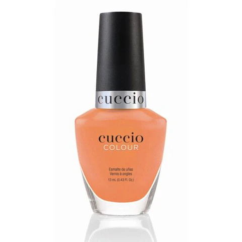 1387 Cuccio