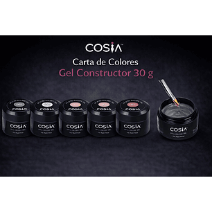 Carta de Colores Digital Gel Constructor 