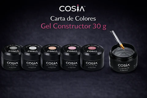 Carta de Colores Digital Gel Constructor 