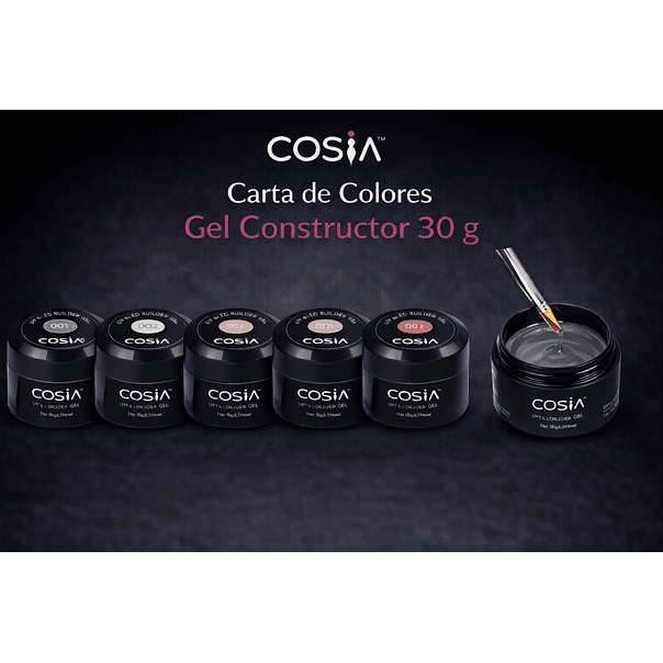 Carta de Colores Digital Gel Constructor  1