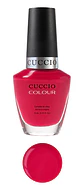 6013 Cuccio - Miniatura 1