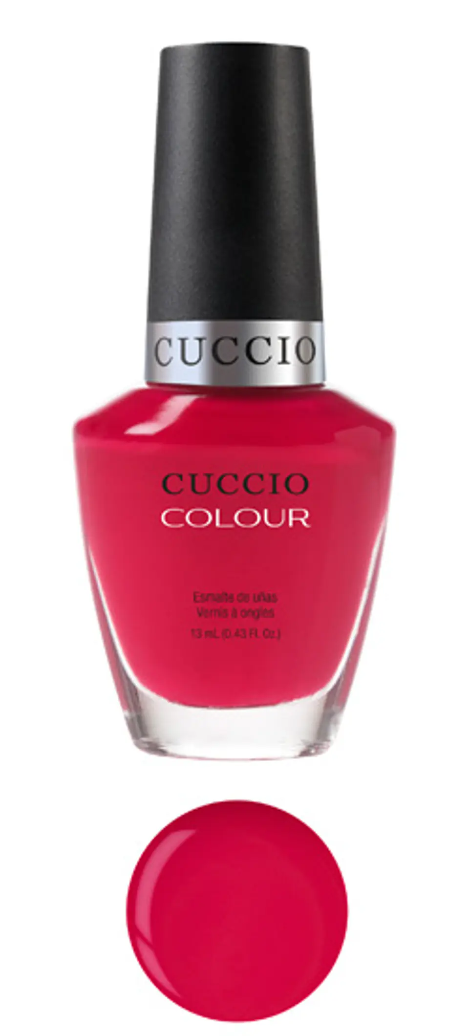 6013 Cuccio 1