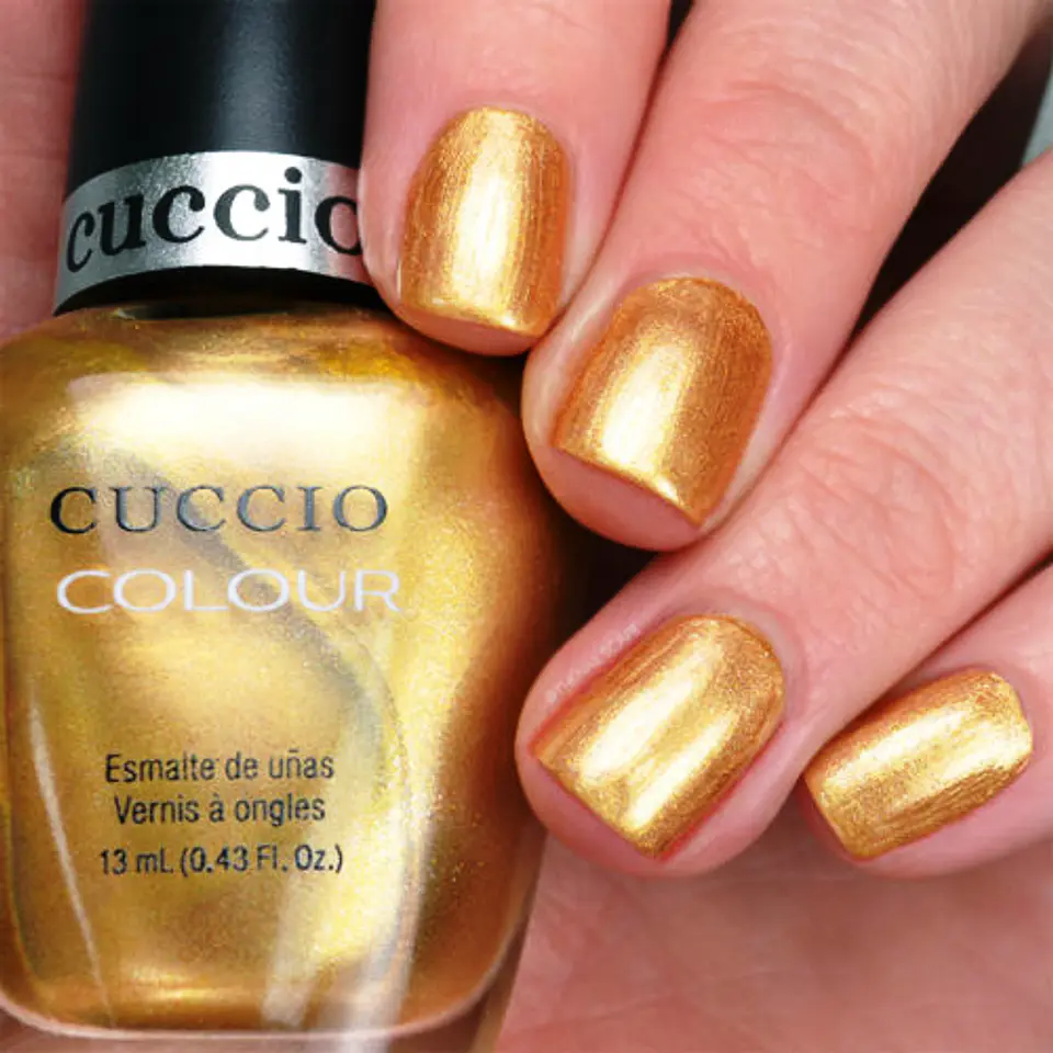 6031 Cuccio 2